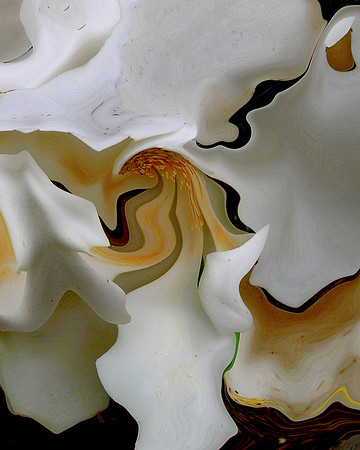 Magnolia-16, 2006
