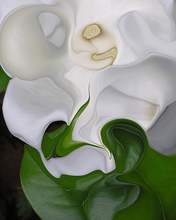 Gardenia-01, 2006