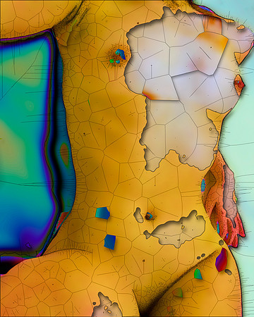 Mapping Venus-24, 2015