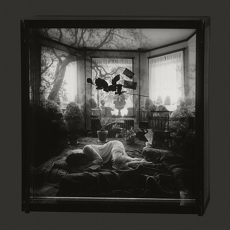 Floating Rose, 1978