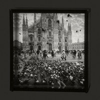 Morning in Milan, 1984