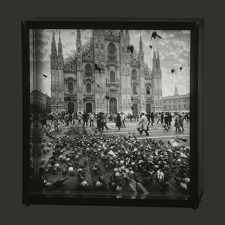 Morning in Milan, 1984