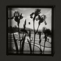 Italian Garden with Bee, 1996