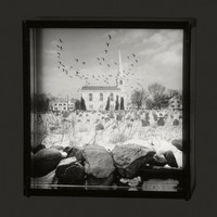 Return of the Flock, 1996