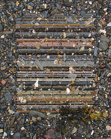 Shore Lines-22, 2012