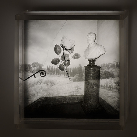 Homage to the Botanical Illustrator,1992,2-20