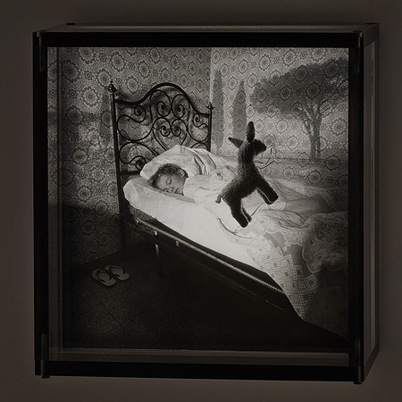 Case and Toy Lamb,1994,API