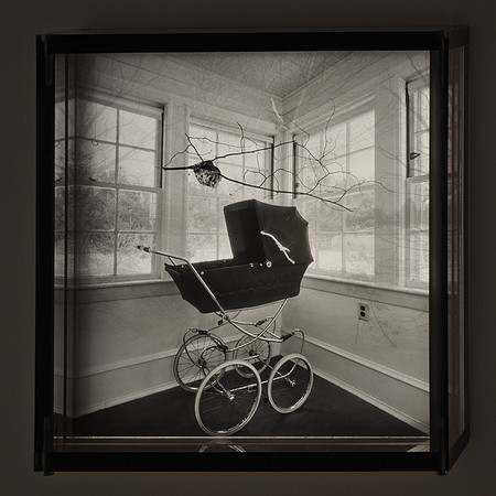 Nest and Carriage,1996,1-20
