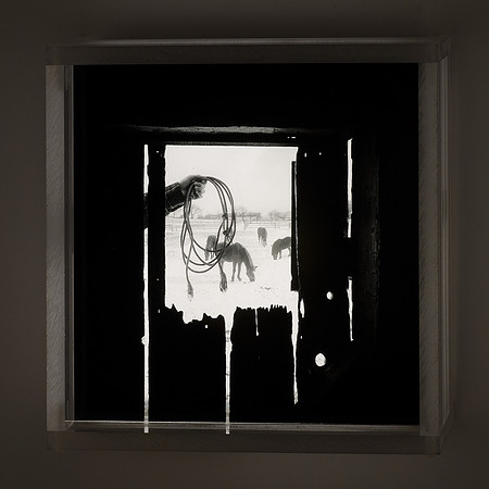 Stable View,1993,AP1