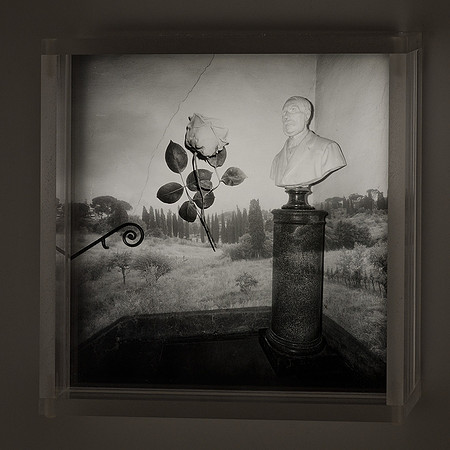 Tribute to Botanical Illustrator,1992,1-20