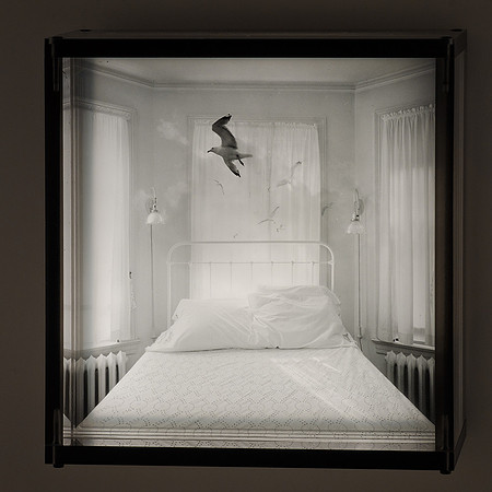 Daydream with Gulls,1989,6-20