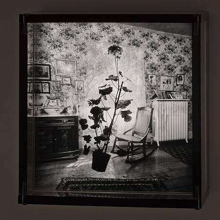 Geranium Room,1980,5-20