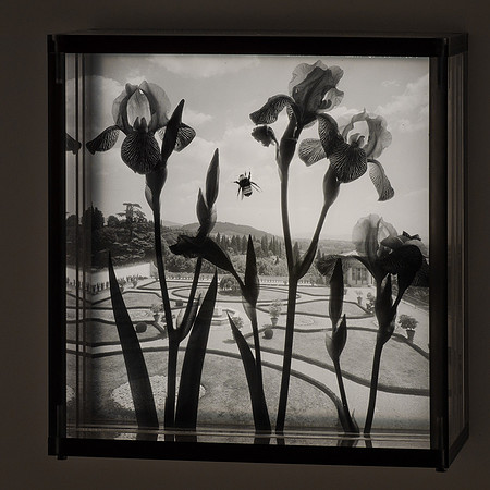 Italian Garden with Bumblebee,1996,1-20