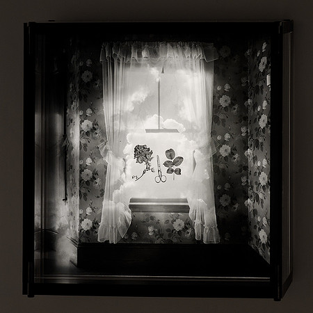 Rose Room,1996,3-20