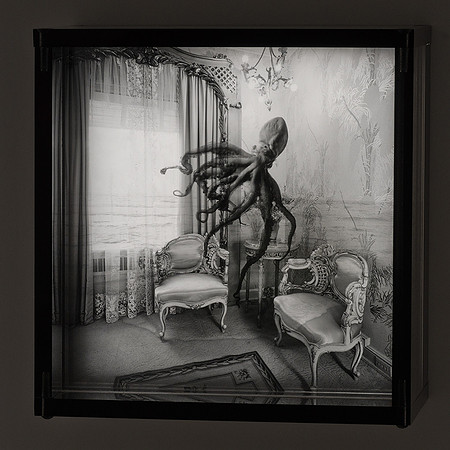 Octopus Chamber,1983,1-20