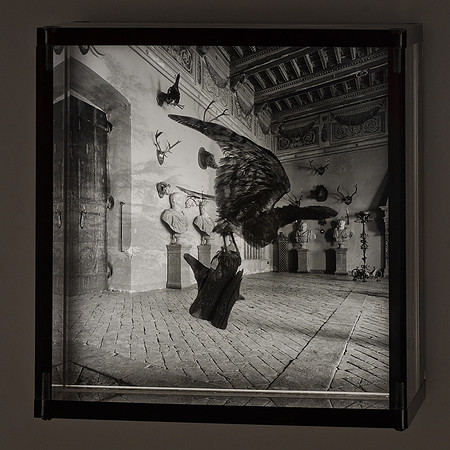 Trophy Room,1984,API
