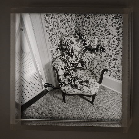 Chair with Vines,1993,2-20