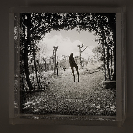 Boboli Gardens with Pruning Shears,1993,API
