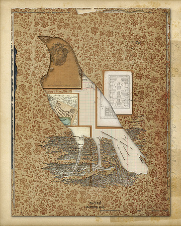 Biodiversity-05, 2018