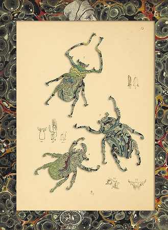Biodiversity-30, 2018
