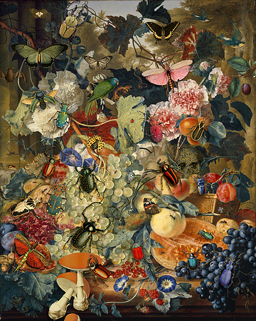 Biodiversity-35, 2018