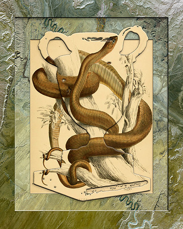 Biodiversity-07, 2012
