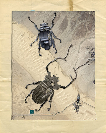 Biodiversity-15, 2018