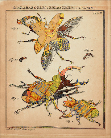 Biodiversity-03, 2018