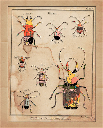 Biodiversity-01, 2018
