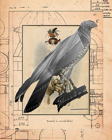 Biodiversity-12, 2018