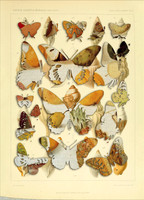 Biodiversity-23, 2018