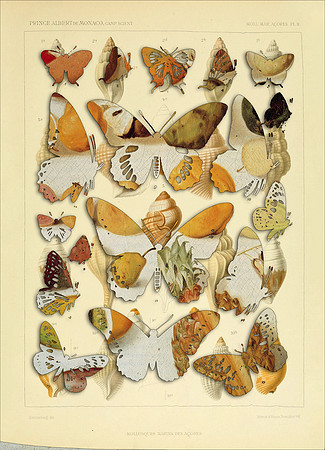Biodiversity-23, 2018