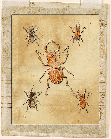 Biodiversity-21, 2018