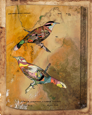 Biodiversity-09, 2018