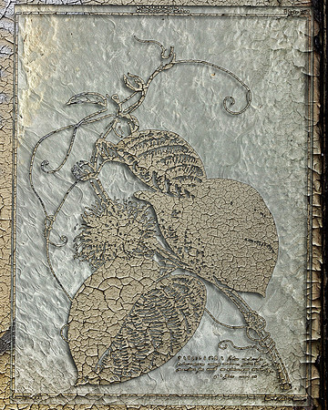 Biograph-25, 2011