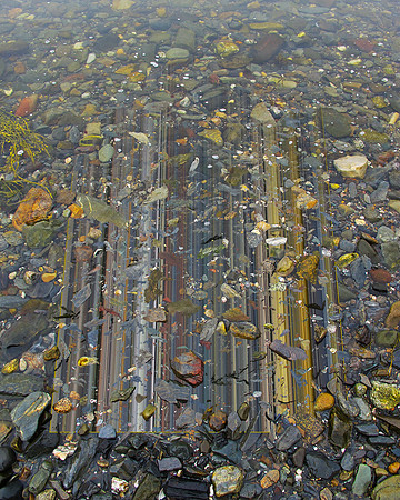 Shore Lines-08, 2012