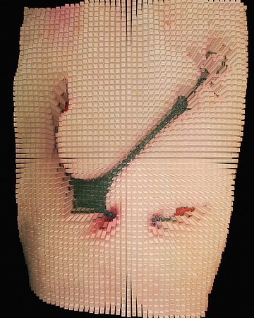 Pigment Extrusion-14, 2011