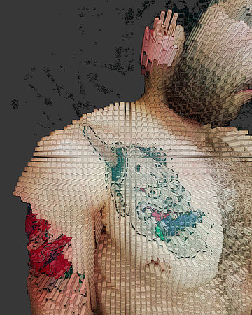 Extrusion Map-41, 2010