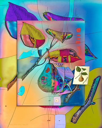 Pangraphic-41, 2018