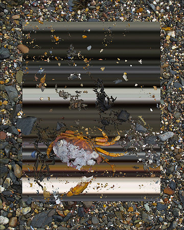 Shore Lines-06, 2012
