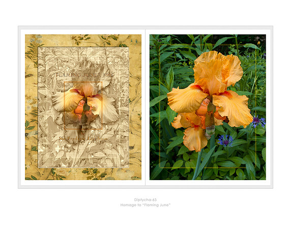 Diptycha-Page 65