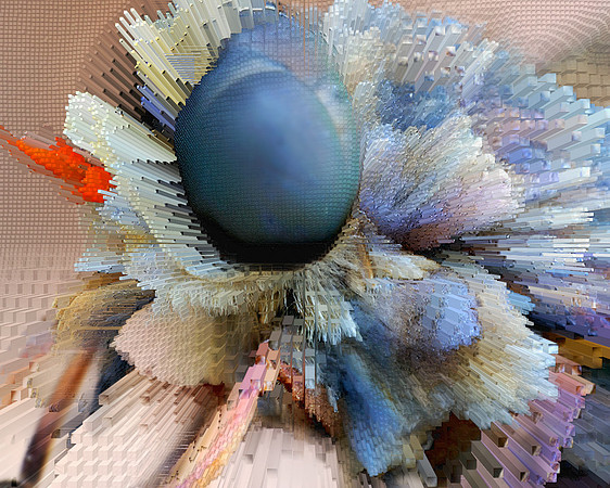 Extrusion Map-58, 2010