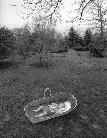 Case in Basket, 1997