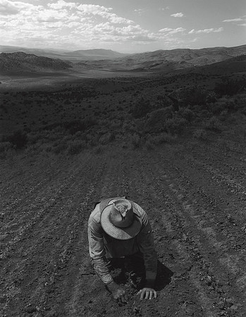 Man Planting in Landscape, 1992