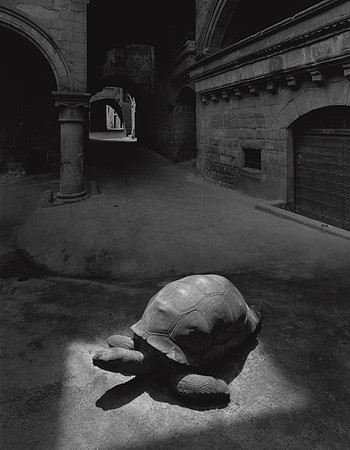 Tortoise and Arches, 1982