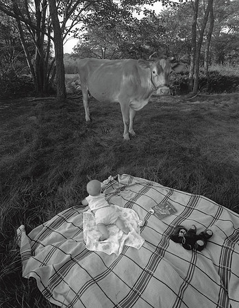 Case with Cow, 1982