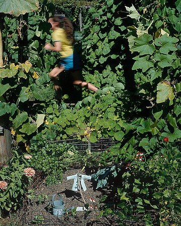 Running from Peter Rabbit, 2008