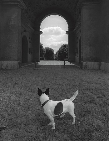 Dog and Arch, 1996