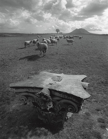 Capitol, Sheep & Mountain, 1993