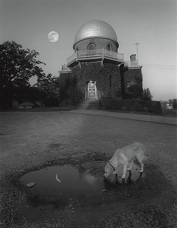 Dog, Moon & Observatory, 1999